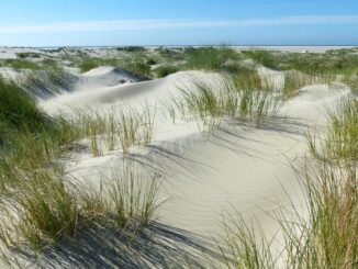 Klage gegen Gasbohrung vor Borkum eingereicht